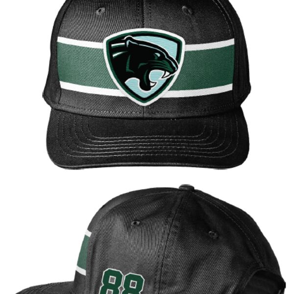 Peninsula Panthers Post Gamer 6 Panel Hat Thumbnail